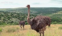 Images of South Africa